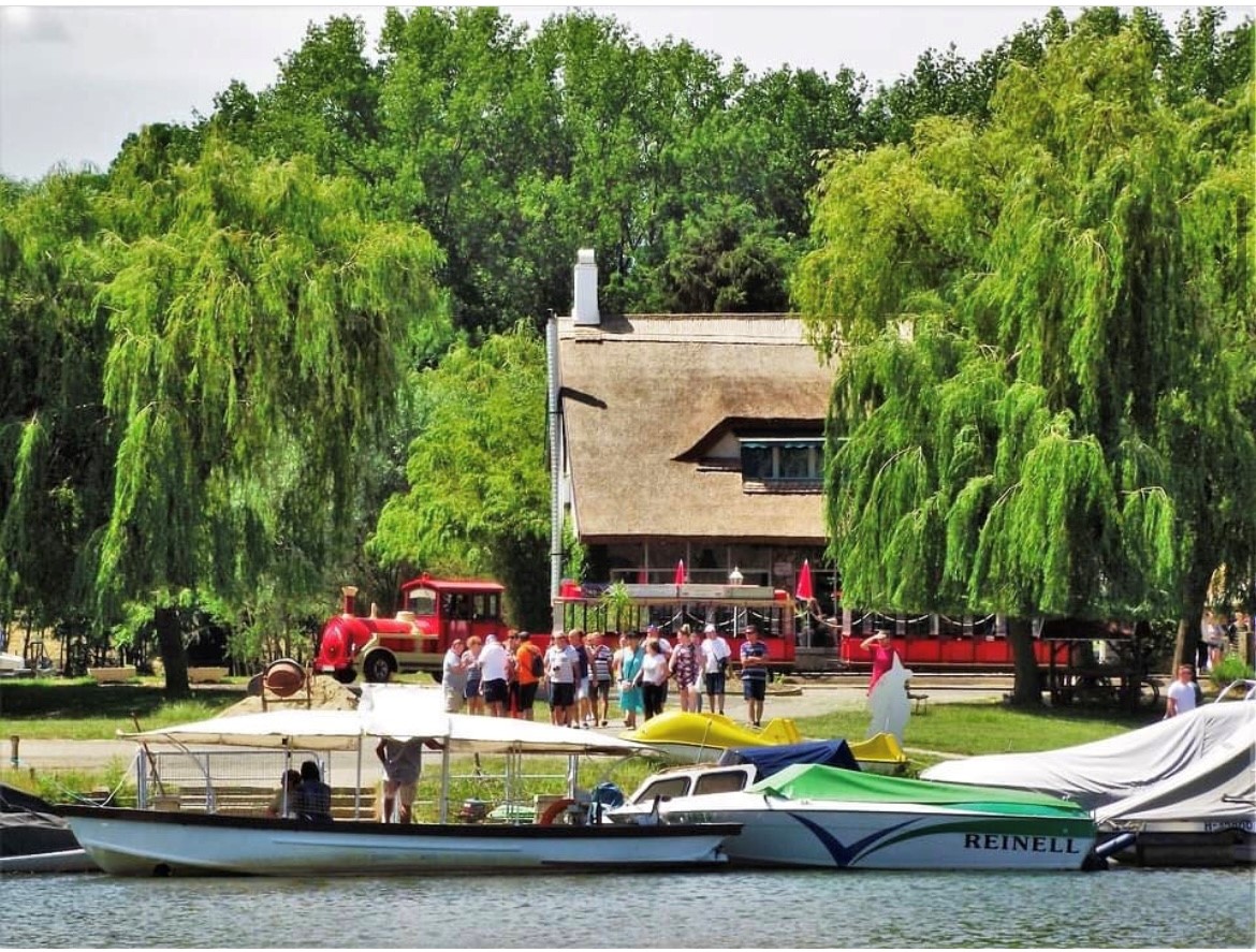 “There must be a piece of land somewhere where we can set foot, where we can catch up with the paradise that is vanishing”.